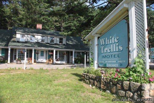 White Trellis Motel North Conway Luaran gambar